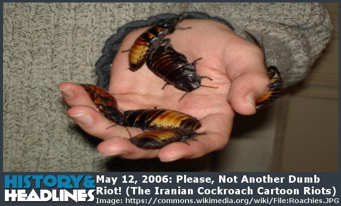 Iranian Cockroach Cartoon Riots